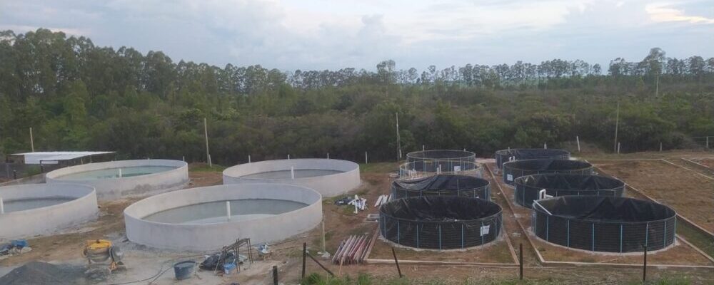 Projeto de piscicultura em Alexânia/ GO